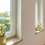 Kika, A New, Modern And Romantic With A Pool